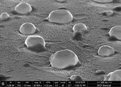 Diese Aufnahme mit dem Rasterelektronenmikroskop zeigt mit Rhodium beschichtete Platin-Nanopartikel auf einem leitfähigen Substrat. Die kristallinen Facetten sind deutlich an der Polyederform der Nanopartikel zu erkennen.  Copyright: Arno Jeromin, DESY NanoLab
