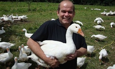 Eingefangen ist sie schon mal, die Martinigans