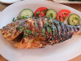 Gebratene Dorade in der Taverna
