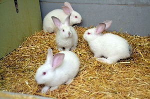 Noch können sie das Leben geniessen