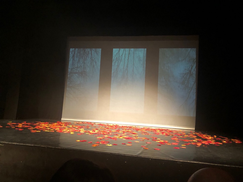 Am Ende bleiben nur tote Blätter