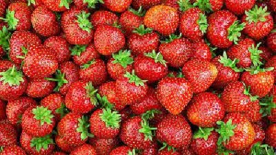 Erdbeeren im Körbli