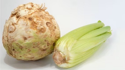 Stangensellerie und sein Bruder Knollensellerie