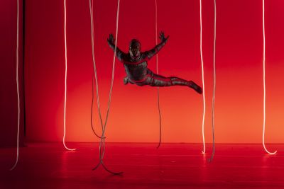 Swan Szenenfoto von Ingo Hoehn