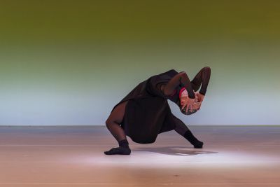 Swan Szenenfoto von Ingo Hoehn