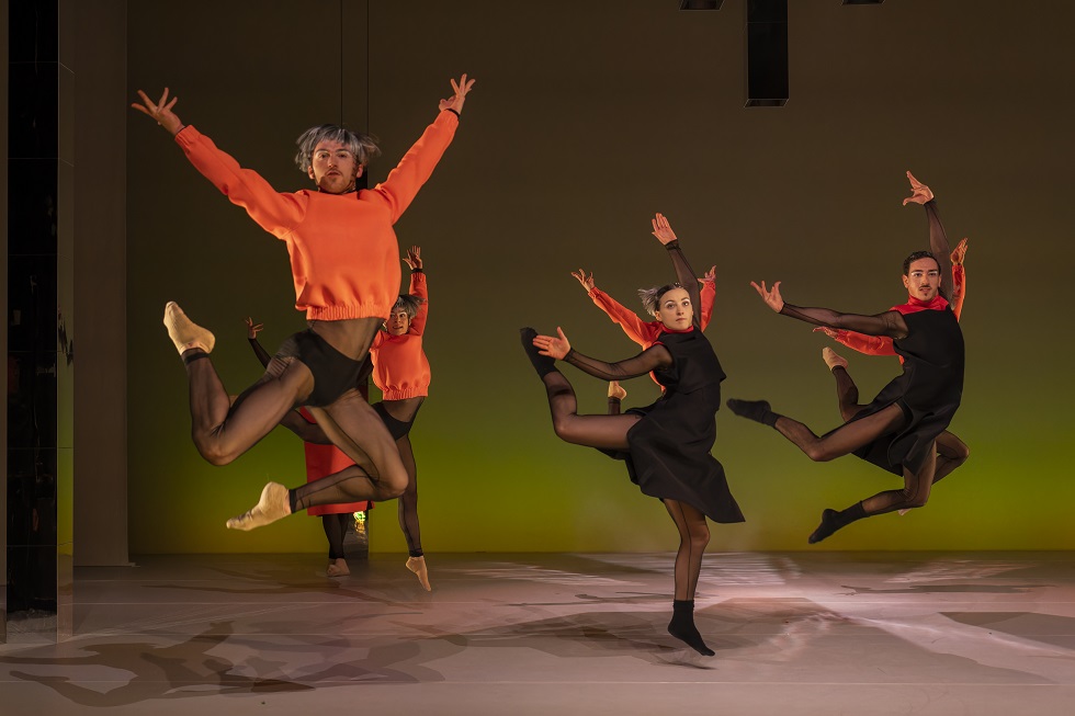 Swan Szenenfoto von Ingo Hoehn