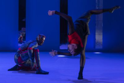 Swan Szenenfoto von Ingo Hoehn