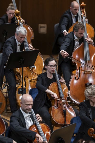 Wiener Philharmoniker Konzertfoto von Patrick Hürlimann 