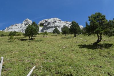Saftige Alpwiesen und schroffe Fewlsen prägen die Landschaft