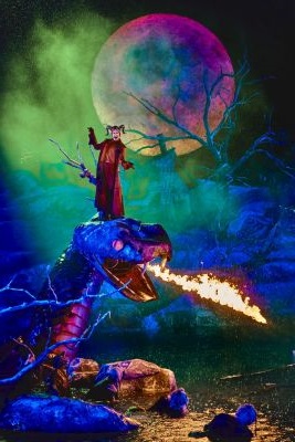 Samiel reitet den Drachen Foto Anja Köhler 