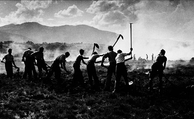 Anbauschlacht im Berner Oberland 1939 bis 1945
