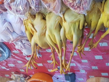 Gut gelagert bei 30° 