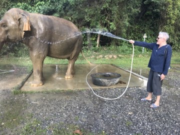 Im Elefanten Altersheim