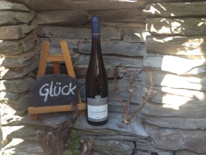 Impression vom Weingebiet an der Mosel