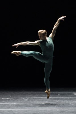 LizaVoll Photography