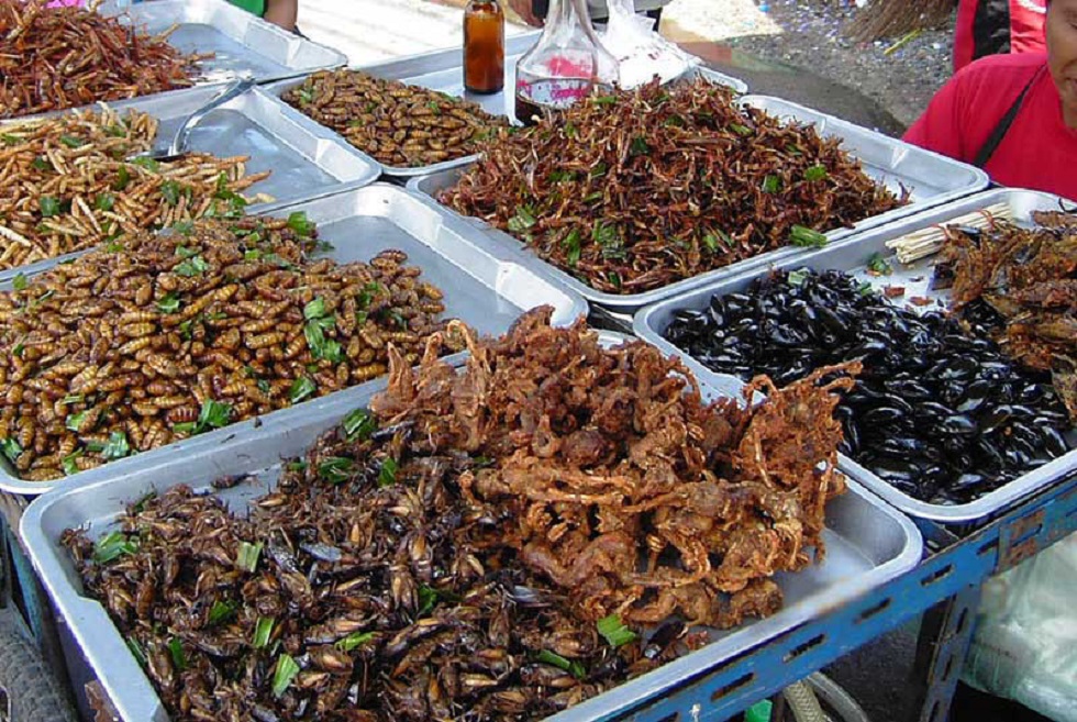 Verkaufsstand mit Insektennahrungsmitteln in Bangkok, Thailand.