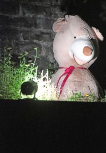 Auch Kinder beschäftigen sich auf ihre eigene Art mit dem Tod