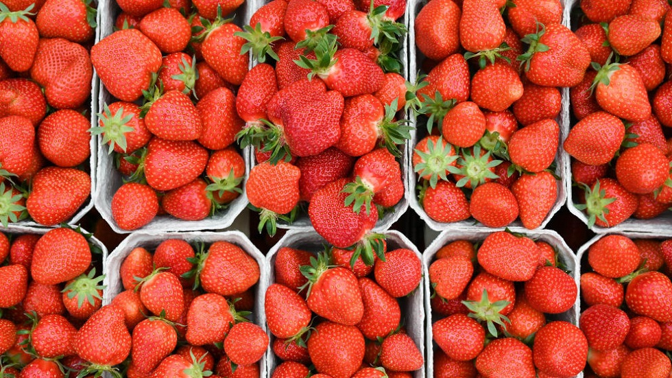 Rostocker Studie Erdbeeren machen jünger!