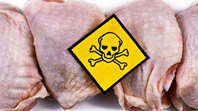 Salmonellen Wenn Lebensmittel krank machen