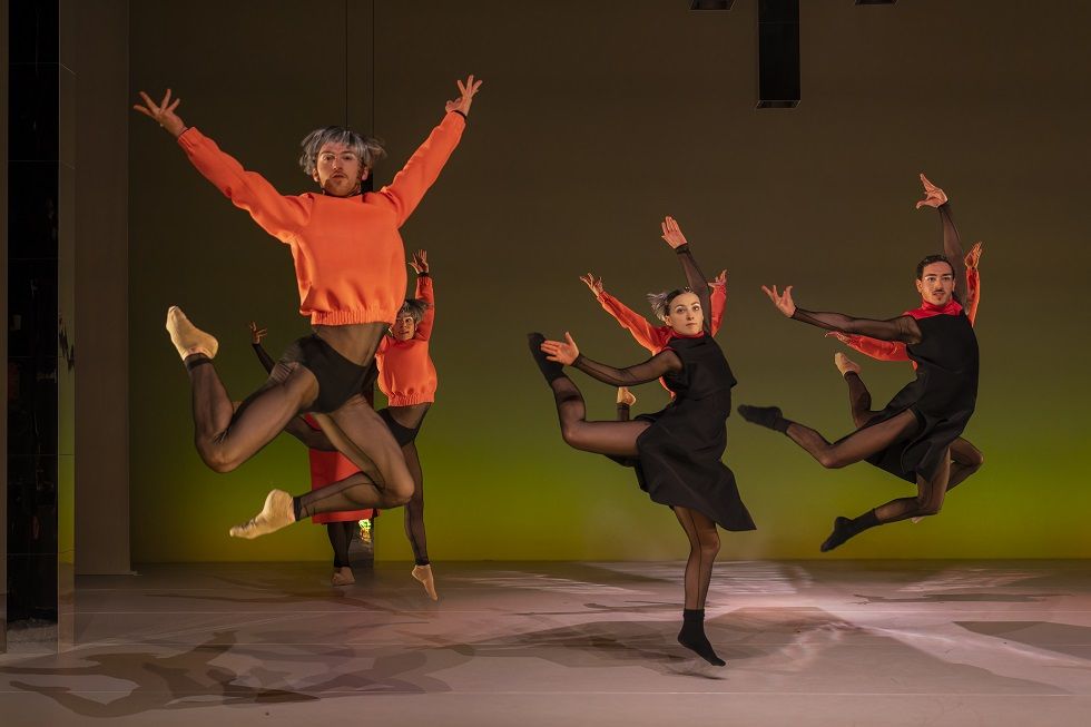 Swan Szenenfoto von Ingo Hoehn