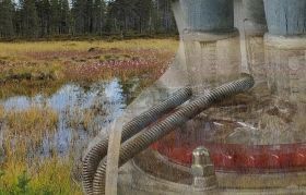 Methanbildende Mikroben können ihren Nickelbedarf senken  Quelle: Shunsuke Nomura