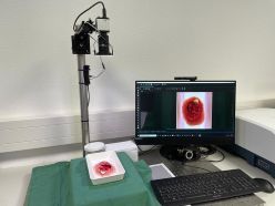 Zur Entwicklung des KI-gestützten Wundassistenzsystems werden umfangreiche Bilddatensätze benötigt. Ein Wundphantom dient dabei exemplarisch der Veranschaulichung .  Quelle: Amelie Pester  Copyright: Westsächsische Hochschule Zwickau