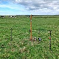 Projekt „KI-Nationalpark“ – digitale Innovationen für Umwelt- und Naturschutz