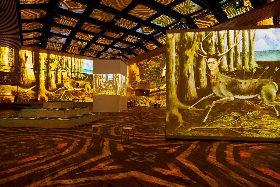Viva Frida Kahlo – Immersive Experience Foto Andi Juchli