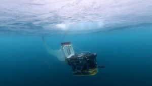 CONTRASTS ROV-Einsatz  Quelle: Evgenii Salganik  Copyright: Alfred-Wegener-Institut