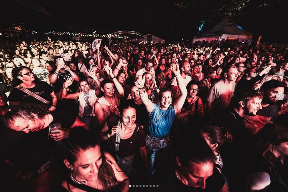 Begeisterte Konzertbesucher Symbolbild