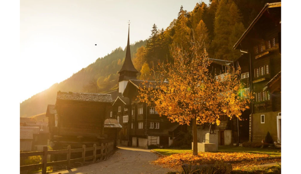 Niederwald Wallis Foto Christian Pfammatter