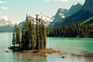 Westkanadas wilde Wunder Symbolbild unsplash